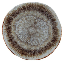 Iris Presentation Plate 31 cm Iris Presentation Plate 31 cm