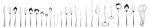 Elia LEILA 18/10 Serving Fork Elia LEILA 18/10 Serving Fork