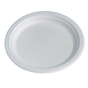 10" Round Bagasse Plate