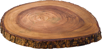 Darwin Board 11.75Inch (30cm) Darwin Board 11.75Inch (30cm)